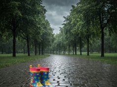 Kalosze dziecięce: Idealne na deszczowe przygody
